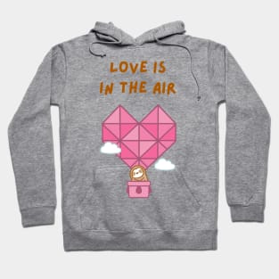 Love is in the Air Hot Air Balloon Sloth Hoodie